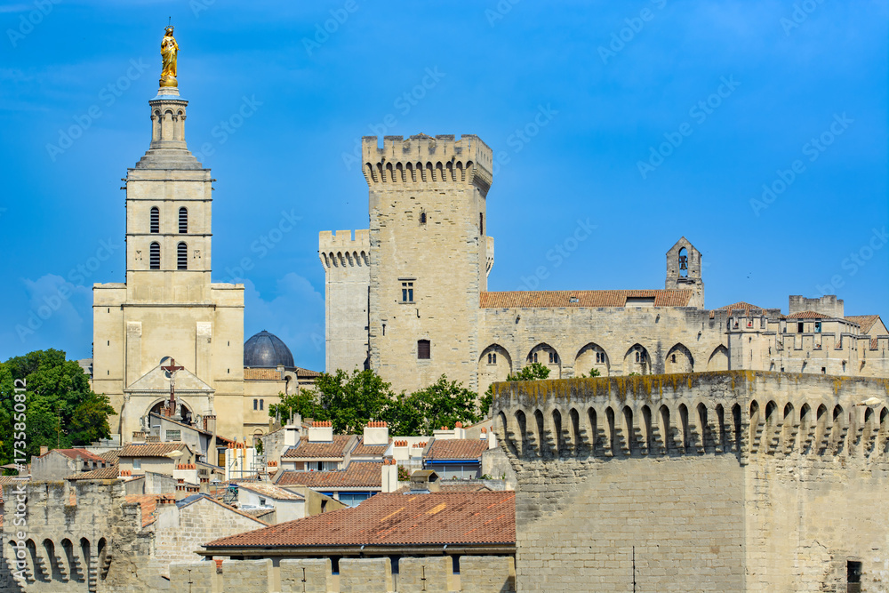 Fototapeta premium Avignon (Provence, France)