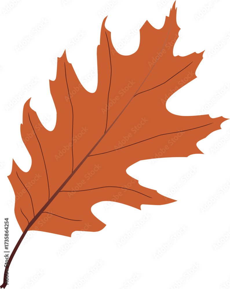 Fototapeta premium vector autumn maple leaf