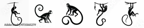Fototapeta black and white silhouette vector of a long-tailed monkey
