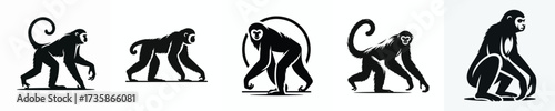 black and white silhouette vector of a gibbon