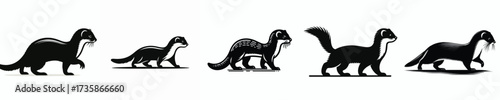 vector black and white silhouette of a ferret