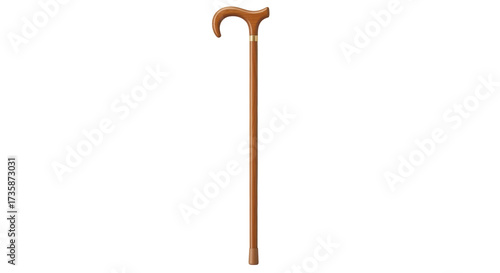 Obraz na plátně Isolated wood walking stick with a curved handle, a health accessory for senior