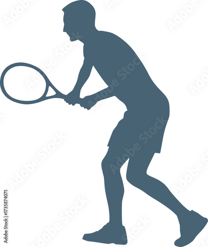 Professional tennis player