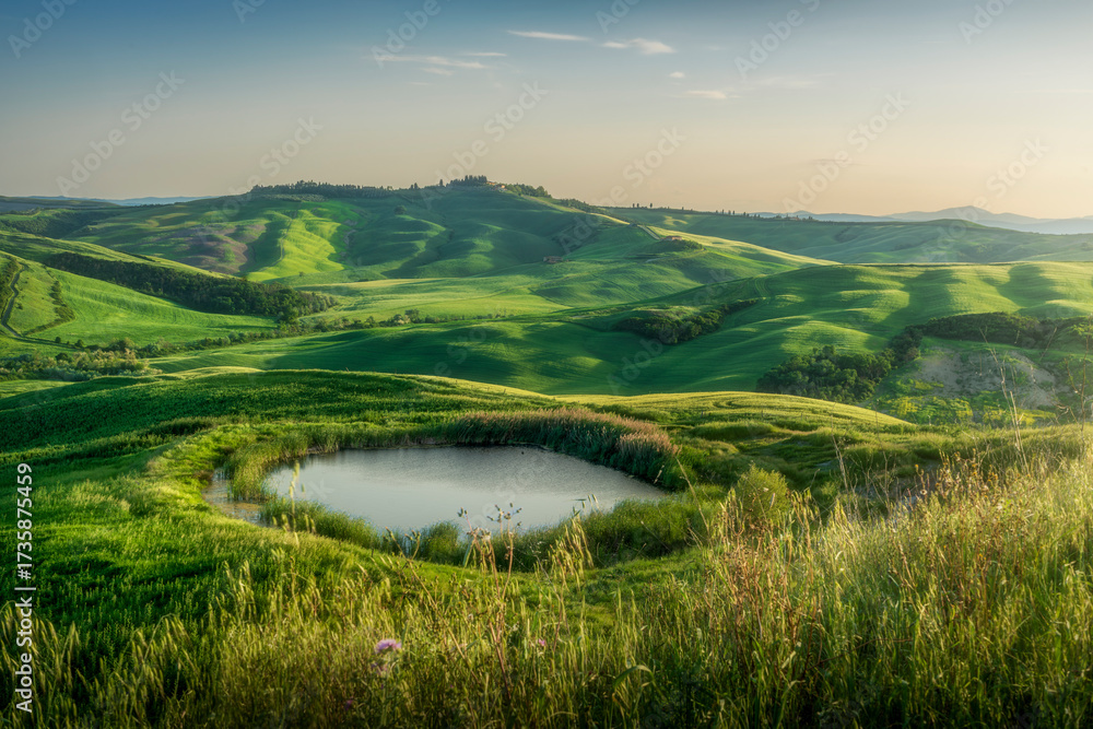 Fototapeta premium Small pond in Crete Senesi landscape near Monte Sante Marie, Tuscany, Italy