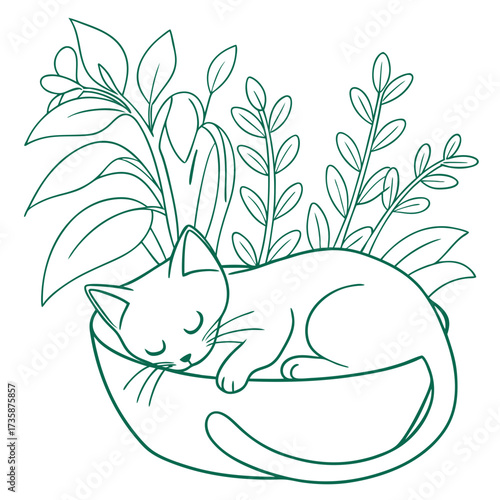 Adorable minimalist line art illustration of a cute kitten peacefully sleeping curled up in a planter surrounded by lush green leaves and delicate plants