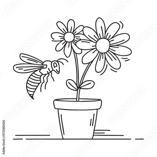 A wasp buzzing near a flowerpot with blooming daisies