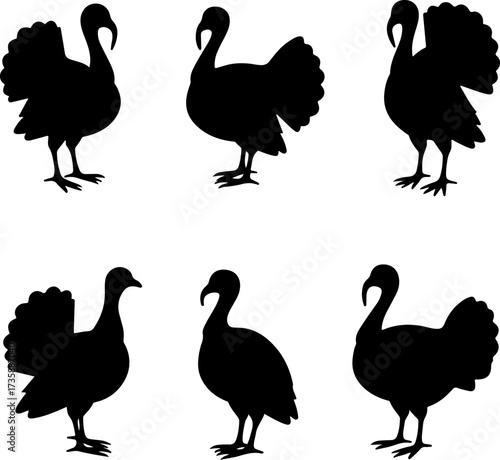 Turkey Silhouette Collection 