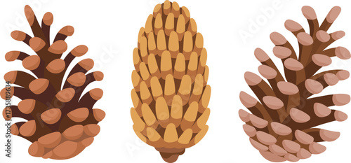 Cartoon pine cone illustration set, vector drawing of botanical textures, forest elements, seasonal nature symbols, and conifer seed design references