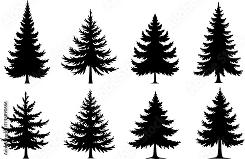 Set of Pine Tree Silhouette Vectors Bundle