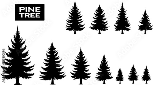 Set of Pine Tree Silhouette Vectors Bundle