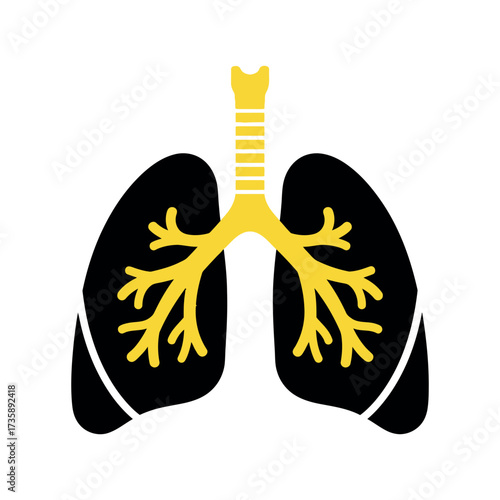 Human lungs anatomy medical graphic