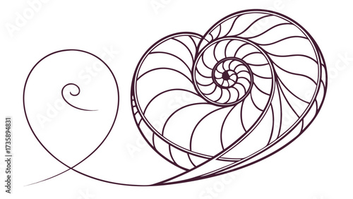 Illustration of two spirals one smaller and one larger with segments inside it and a white background created with generated ai 