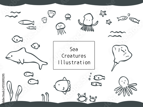 海　生き物　イラスト