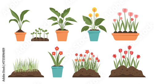 Various potted and garden plants in different stages of growth.