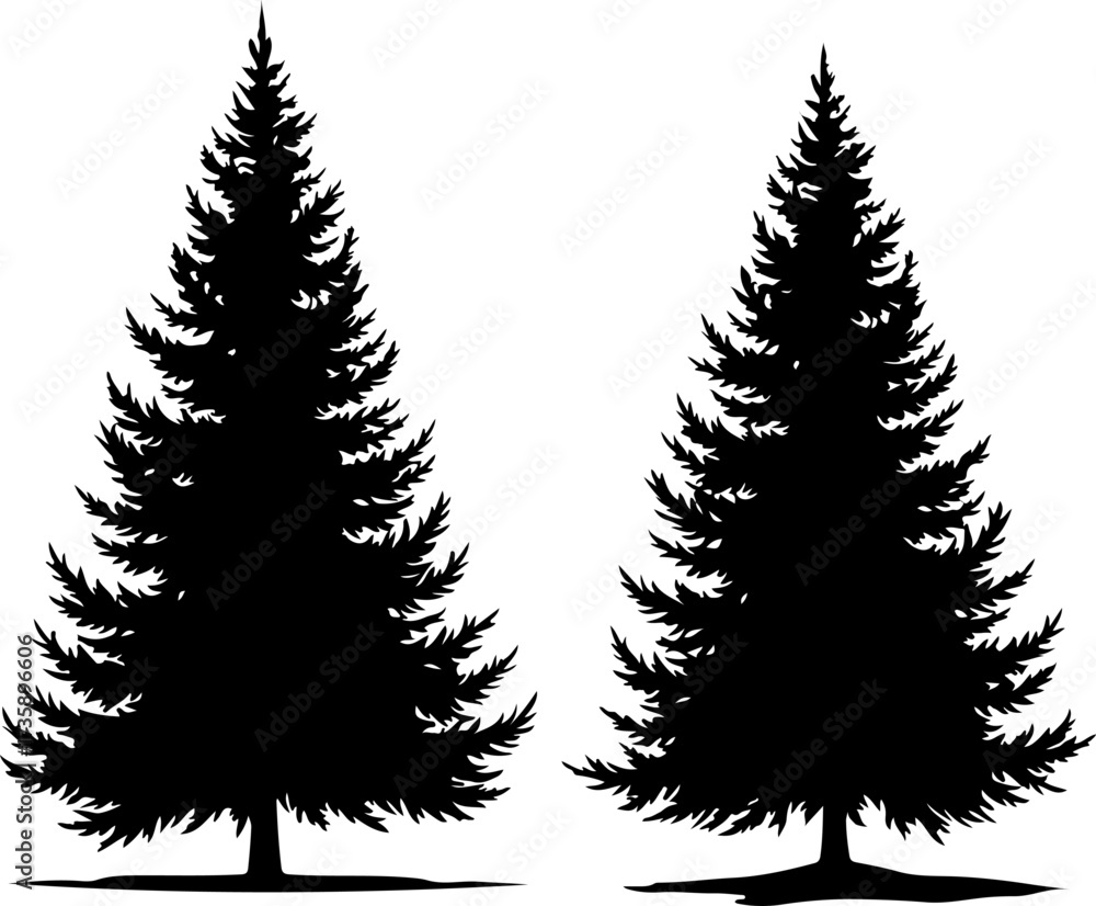 Fototapeta premium Pine Tree Silhouette Illustration