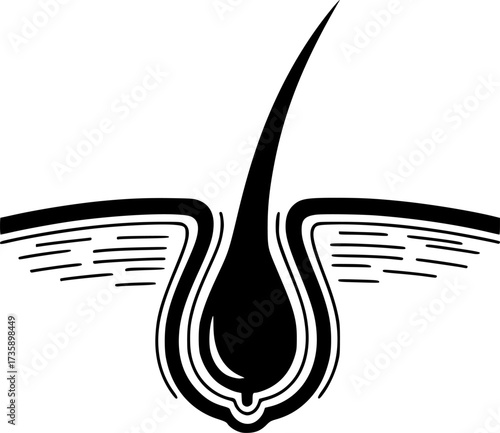 Hair icon design illustration. icon concept in flat

