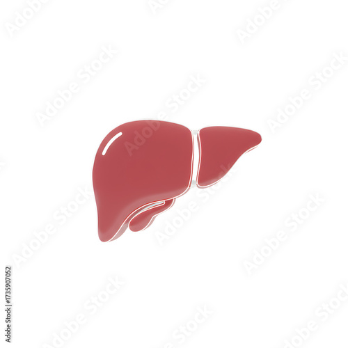 Isolated Red Liver Glossy Icon on Grey Background