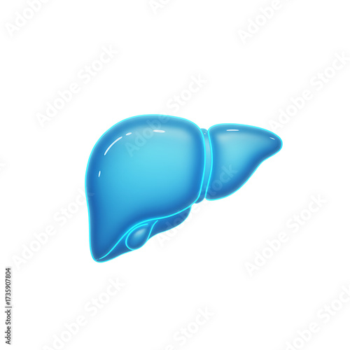 Stylized Blue Liver Graphic Isolated on White Medical Illustration