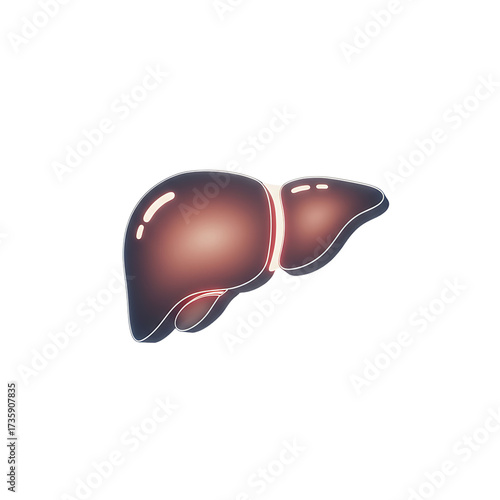 Stylized Brown Liver Illustration on Light Gray Background