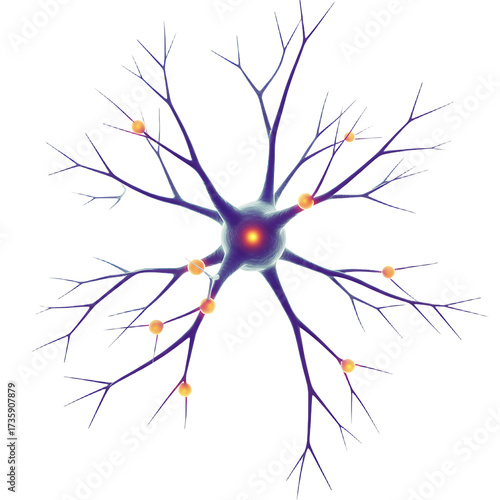 Stylized Neuron Illustration Blue and Orange on White Background