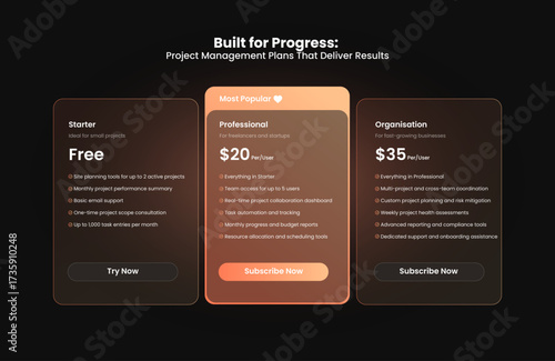 Professional Project Management Pricing Table UI – Tiered Subscription Cards