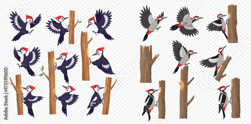 A collection of cartoon woodpeckers in various poses, some on trees.
