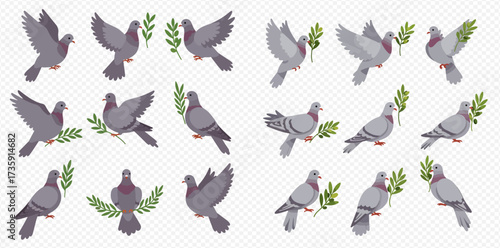 Illustrations of pigeons in various poses, some holding olive branches, on a transparent background.