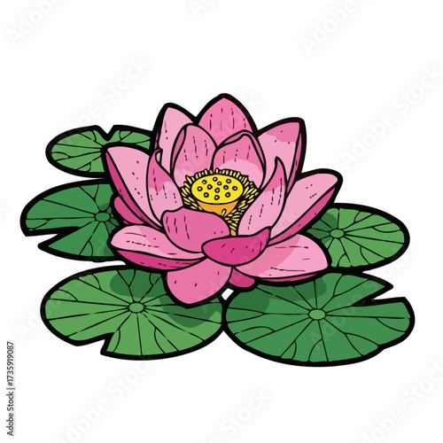 Beautiful pink lotus flower with yellow center surrounded by green lily pads