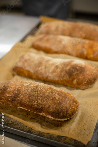 Crispy ciabatta loaves fresh from the oven on baking paper