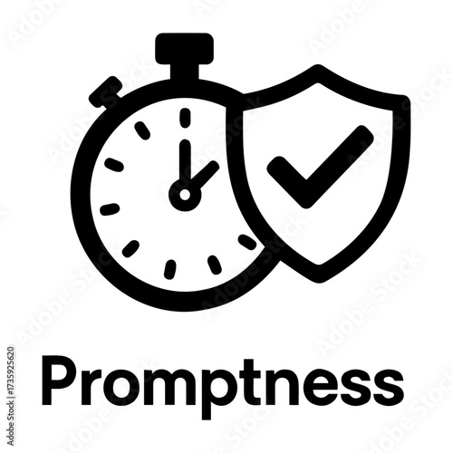 Customer assessment icon vector Illustration of a stopwatch with a shield and checkmark indicating security