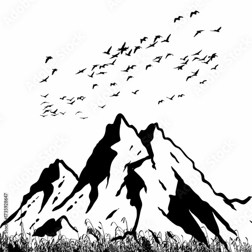 Mountain black and white colour and bird and Grass