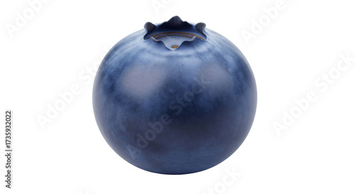 Canvas Print Isolated blueberry close up, ripe and ready to eat, healthy single fruit still l