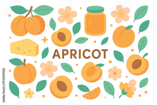 Apricot theme with fruit, leaves, flowers, and honey jar illustration