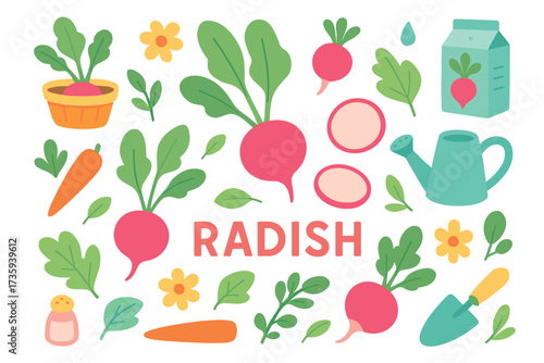 Colorful radish and garden elements illustration with vegetables and gardening tools