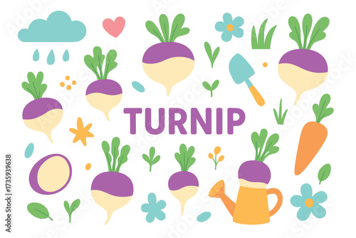Colorful turnip and garden elements illustration with flowers and gardening tools