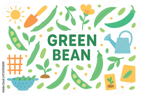 Green bean gardening illustration: tools, plants, and nature elements