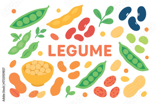 Colorful assortment of various legumes and beans on white background