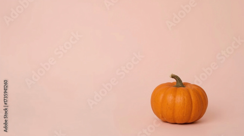 Orange pumpkin autumn vegetable minimal simple harvest seasonal food background