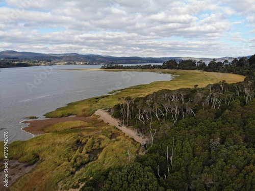 Coastal wetlands and forest at Swan Point Tasmania