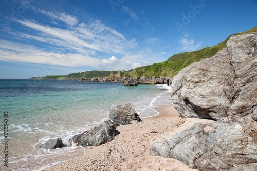Devon coastline in summer