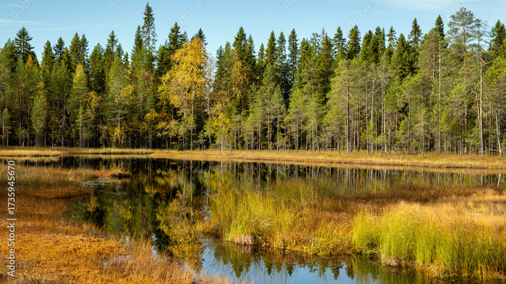 Fototapeta premium Paysage de Laponie en Finlande à l'automne