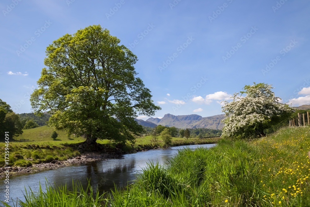 Fototapeta premium Elterwater looking towards the Langdale Pikes, The Lake District, Cumbria, England
