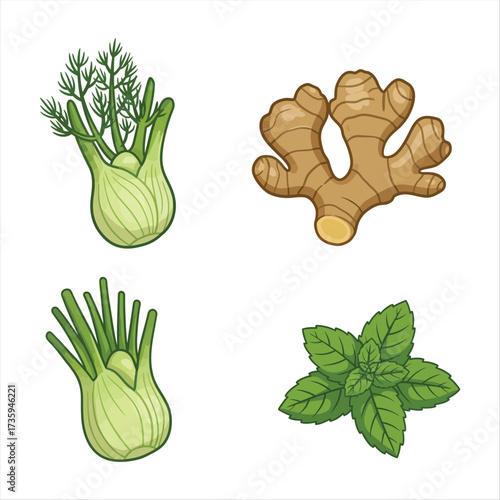 Four Ingredients Including Fennel Ginger And Mint