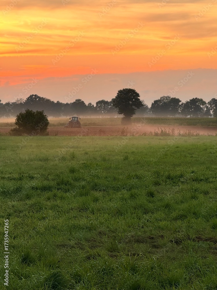 Obraz premium fantastic colorful sky after the sunset, fog at the field, countryside fantastic purple evening