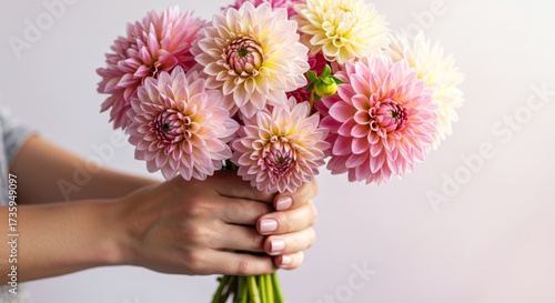 Hands holding a beautiful bouquet of pink and yellow dahlias. Gentle floral composition for special occasions.