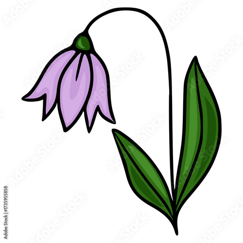 Whimsical vector illustration of a single purple bellflower with green leaves on a white background.