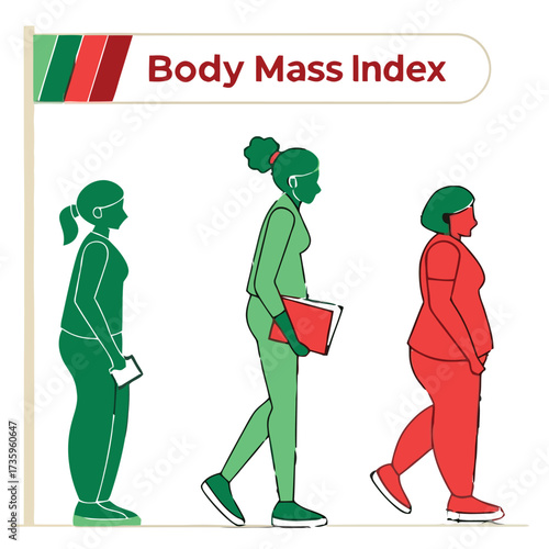 Body mass index bmi illustration isolated on white background, showing the progression from underweight to overweight through female figures, with a focus on health and weight management