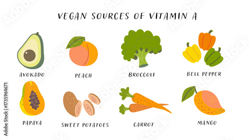 Vegan sources of vitamin A.  Vector food chart with fruits and vegetables
