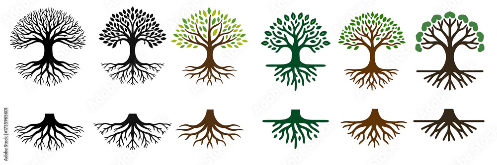 Naklejka premium Tree Growth Stages with Roots Illustration – Nature Ecology Concept