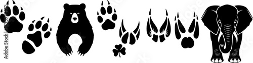 Animal footprints silhouette: lion, bear, fox, deer, cow, elephant